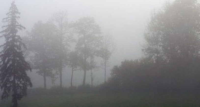 novembernebel